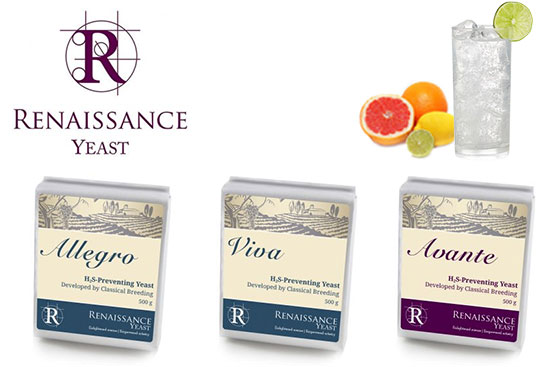 Hard Seltzer Yeast from Renaissance Allegro, Renaissance Avante Renaissance Viva by Gusmer Brewing