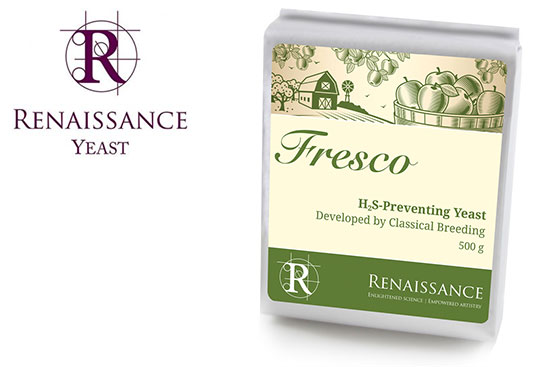 Renaissance-Yeast-Fresco