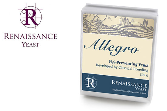 Renaissance Allegro Yeast for winemaking by Gusmer Wine