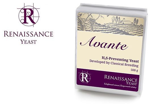 Avante Yeast for Winemaking by Gusmer Enterprises Wine