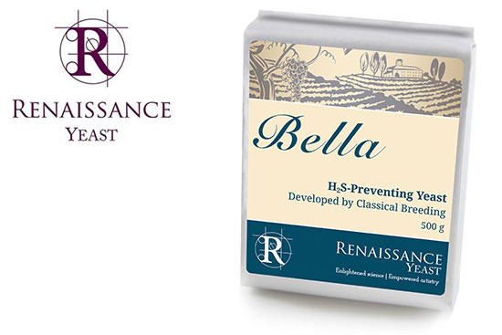Renaissance Yeast Bella for winemaking from Gusmer Wine
