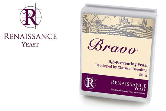 Renaissance Bravo Yeast by Gusmer Wine for Winemaking