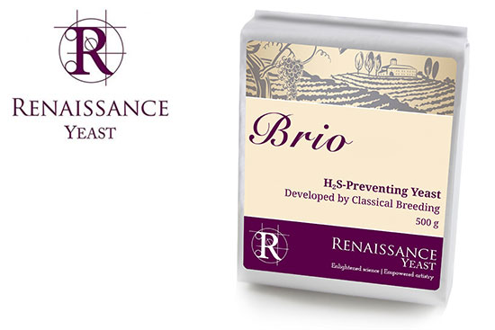 Renaissance Yeast Brio