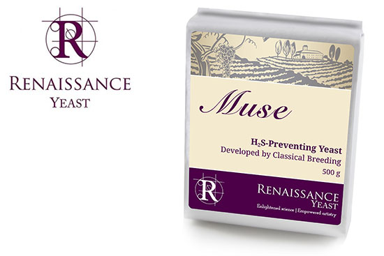 Renaissance Yeast Muse for winemaking by Gusmer Wine