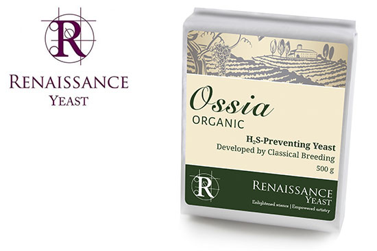 Renaissance Yeast Ossia for organic winemaking by Gusmer Wine