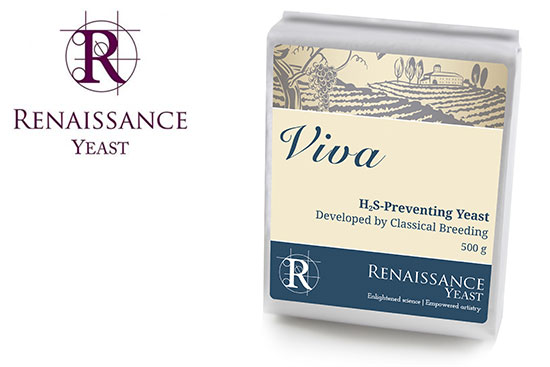 Renaissance Yeast Viva fruit wine yeast for h2s preventing by Gusmer winemaking